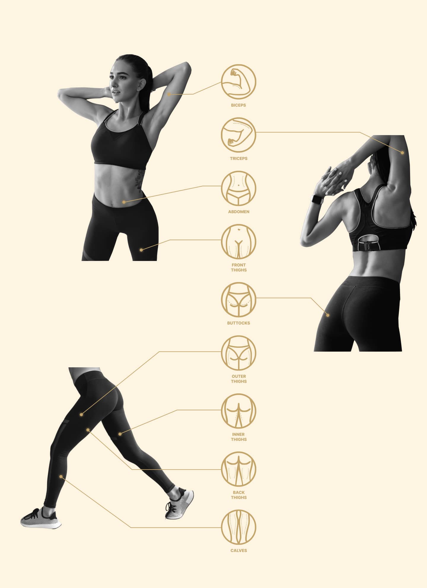 Endospheres lymphatic drainage treatment areas: biceps, triceps, abdomen, thighs, buttocks and calves